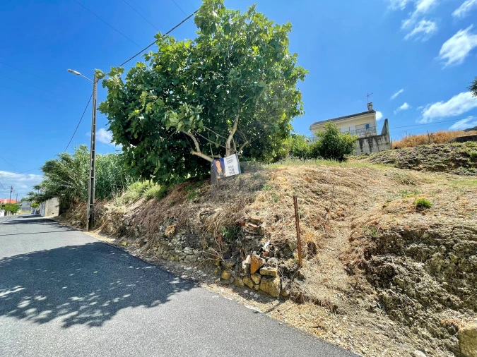 Terreno para Venda em Alhandra, São João dos Montes e Calhandriz Foto 1
