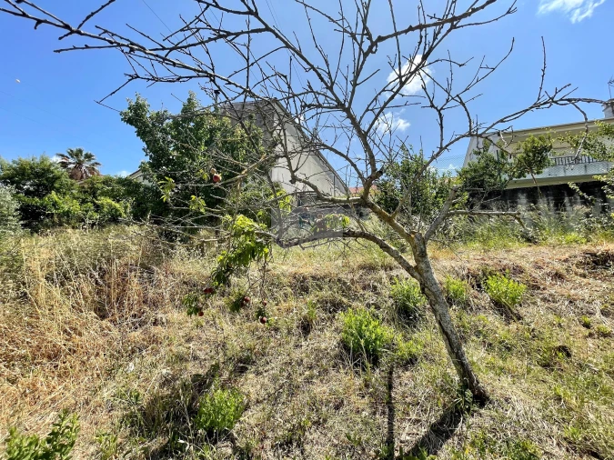 Terreno para Venda em Alhandra, São João dos Montes e Calhandriz Foto 11