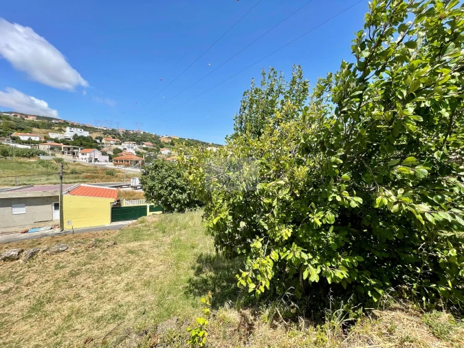 Terreno para Venda em Alhandra, São João dos Montes e Calhandriz Foto 4