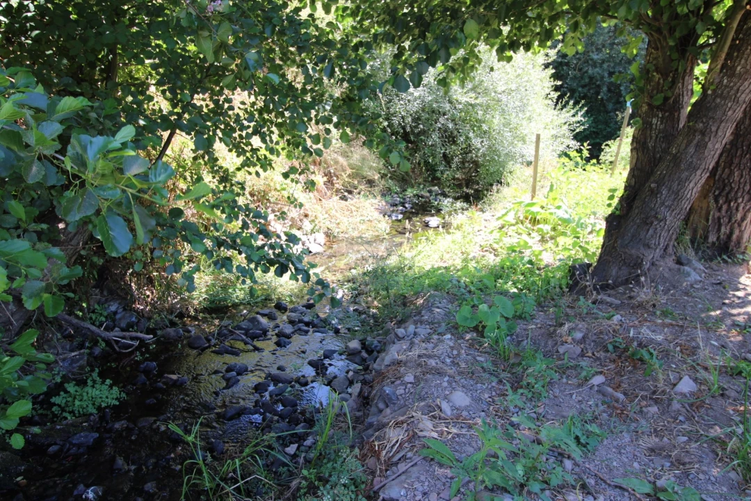 Terreno para Venda em Marmelete Foto 2