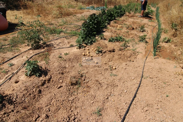 Terreno para Venda em Marmelete Foto 13