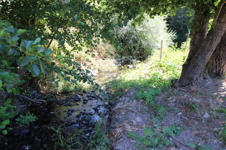 Terreno para Venda em Marmelete Foto 2