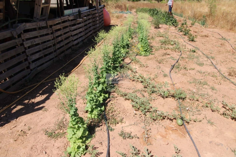Terreno para Venda em Marmelete Foto 12