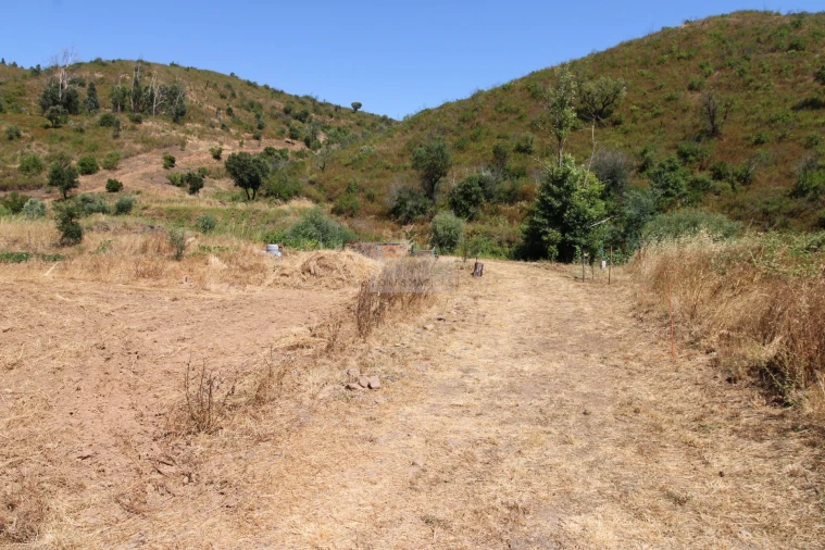 Terreno para Venda em Marmelete Foto 31