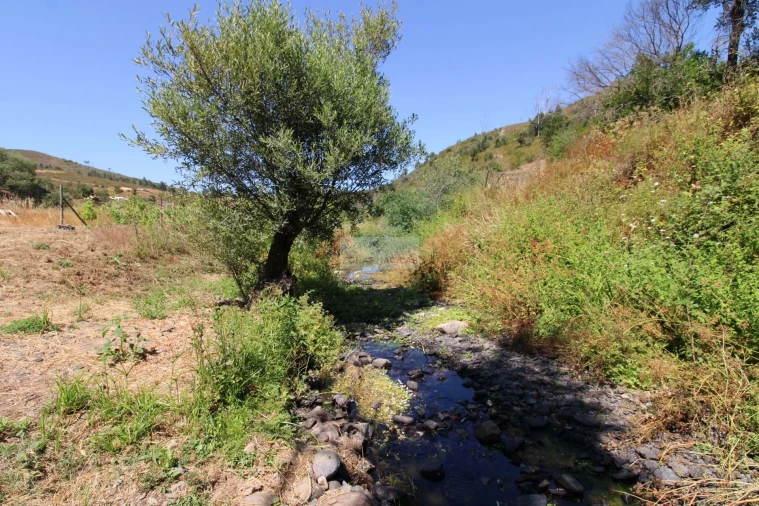 Terreno para Venda em Marmelete