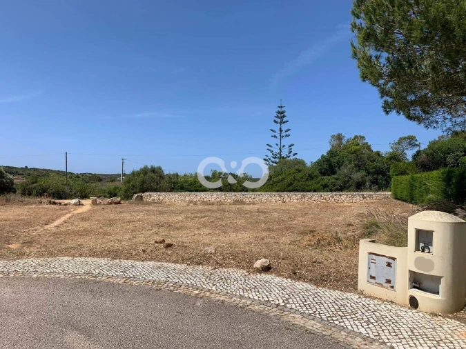 Terreno para Venda em Barão de São Miguel Foto 3