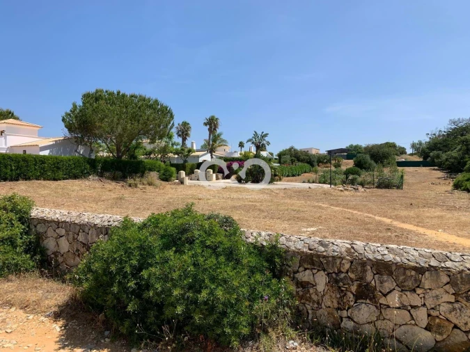 Terreno para Venda em Barão de São Miguel Foto 4