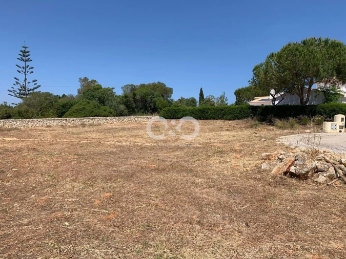 Terreno para Venda em Barão de São Miguel Foto 2