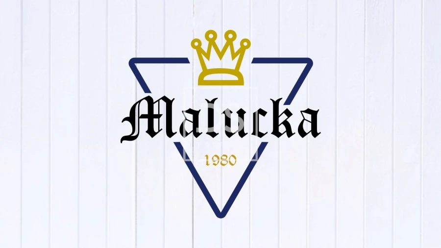 Negócio para Arrendamento em São Marcos da Ataboeira Foto 2