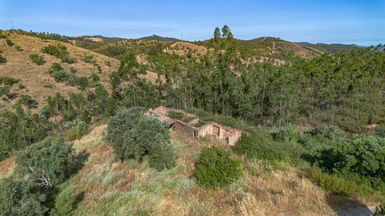 Terreno para Venda em Santana da Serra Foto 18