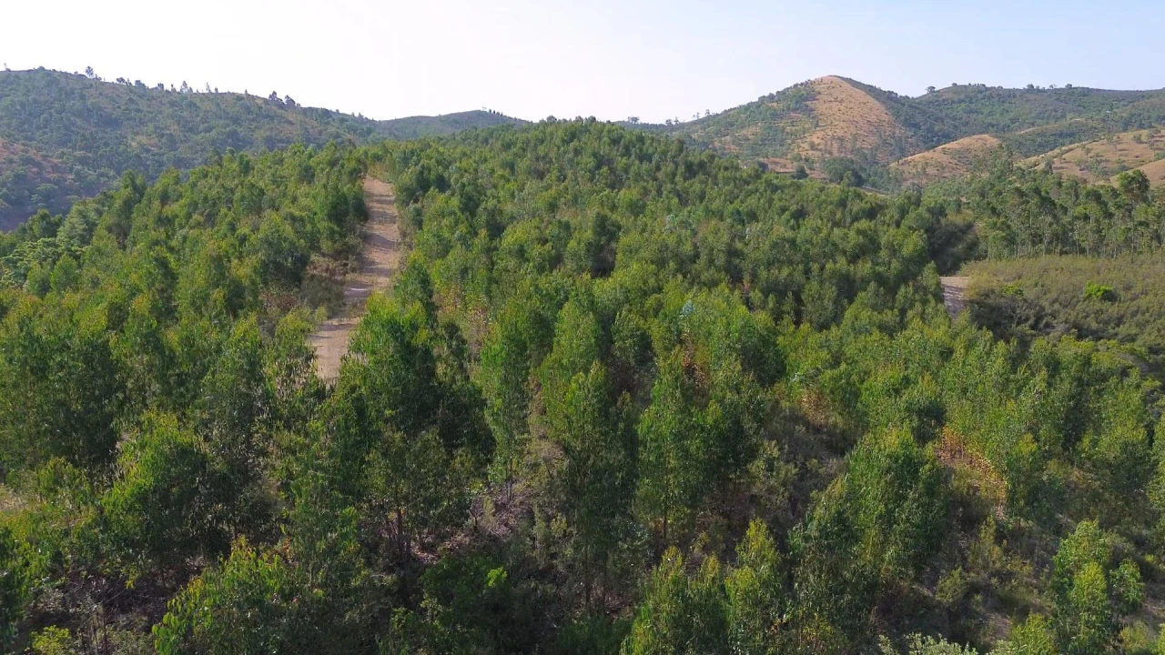 Terreno para Venda em Santana da Serra Foto 12