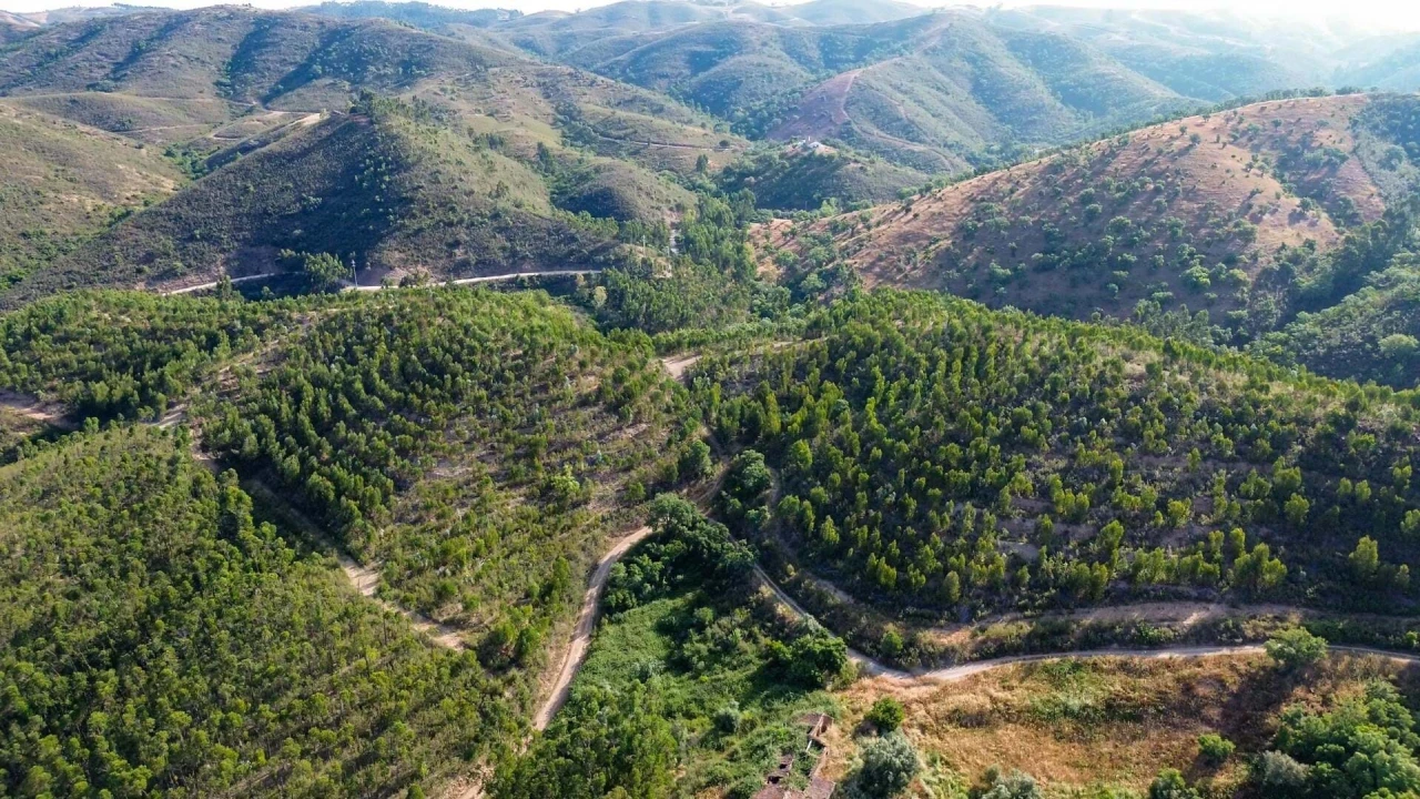 Terreno para Venda em Santana da Serra Foto 1