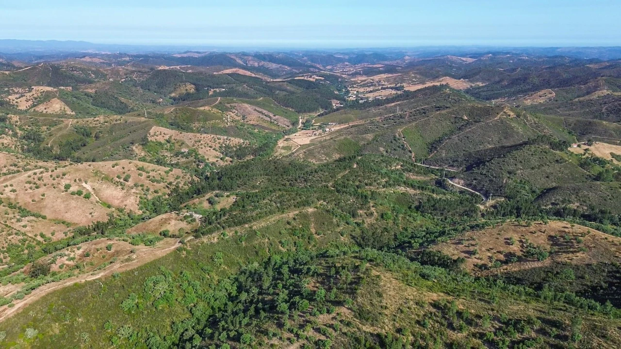 Terreno para Venda em Santana da Serra Foto 10