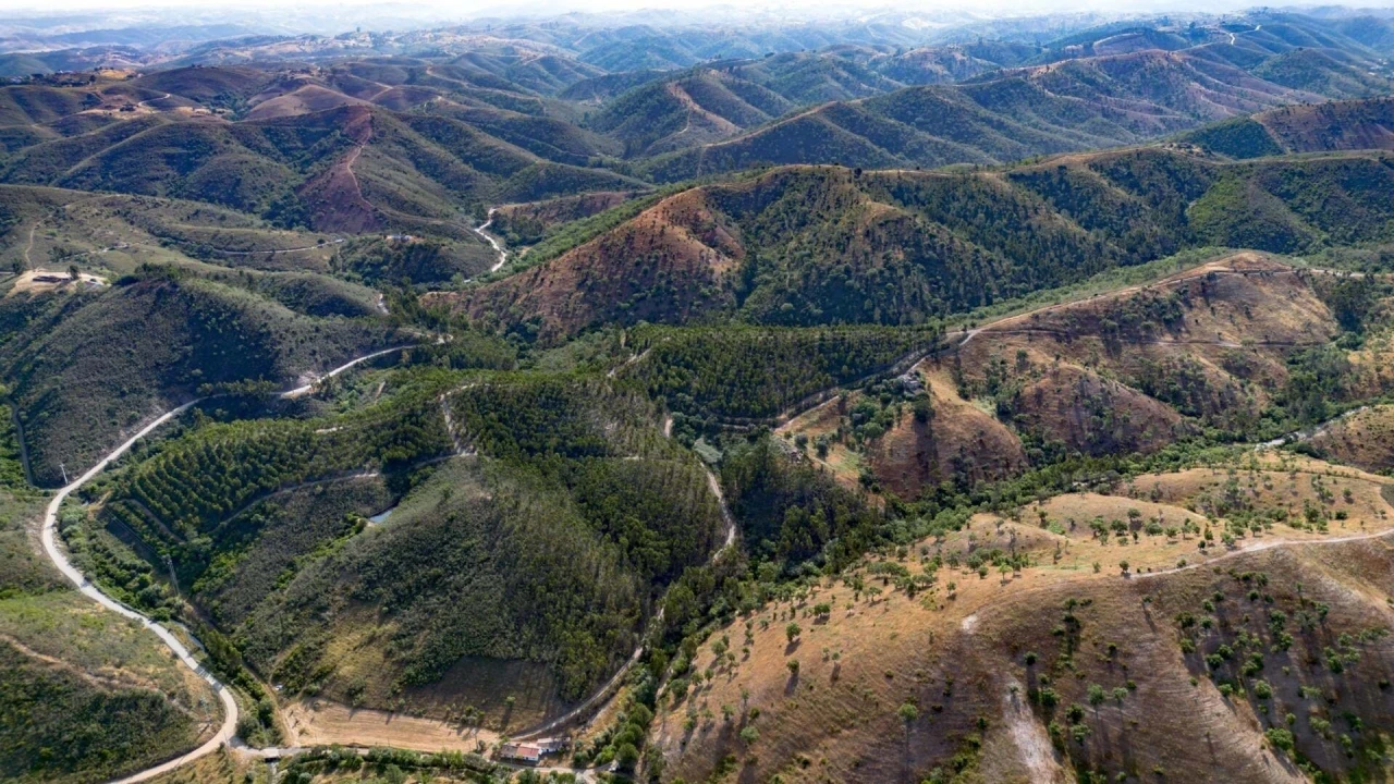 Terreno para Venda em Santana da Serra Foto 2
