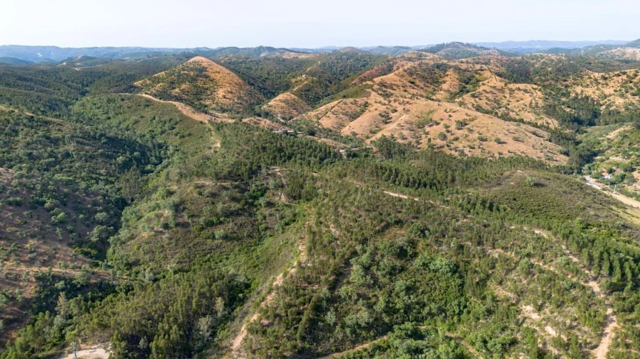 Terreno para Venda em Santana da Serra Foto 5