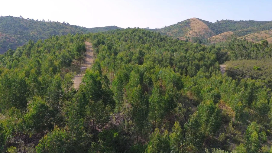 Terreno para Venda em Santana da Serra Foto 12