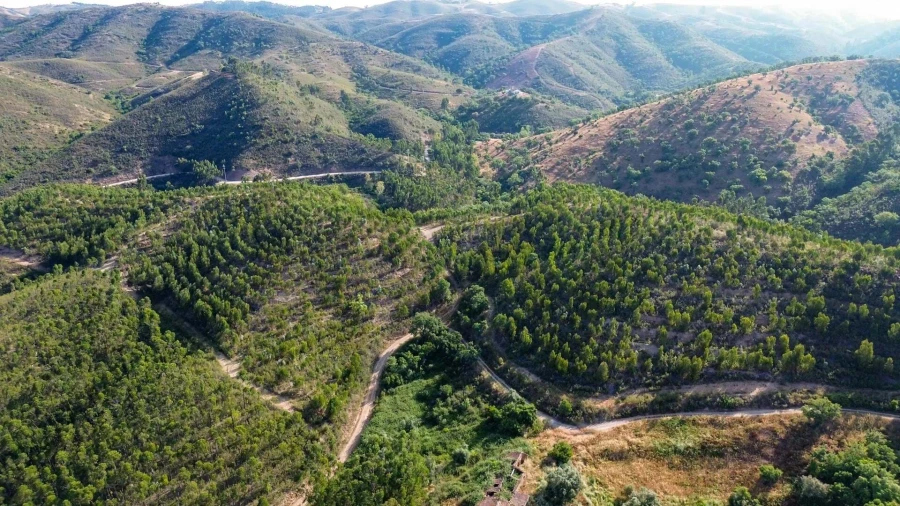 Terreno para Venda em Santana da Serra