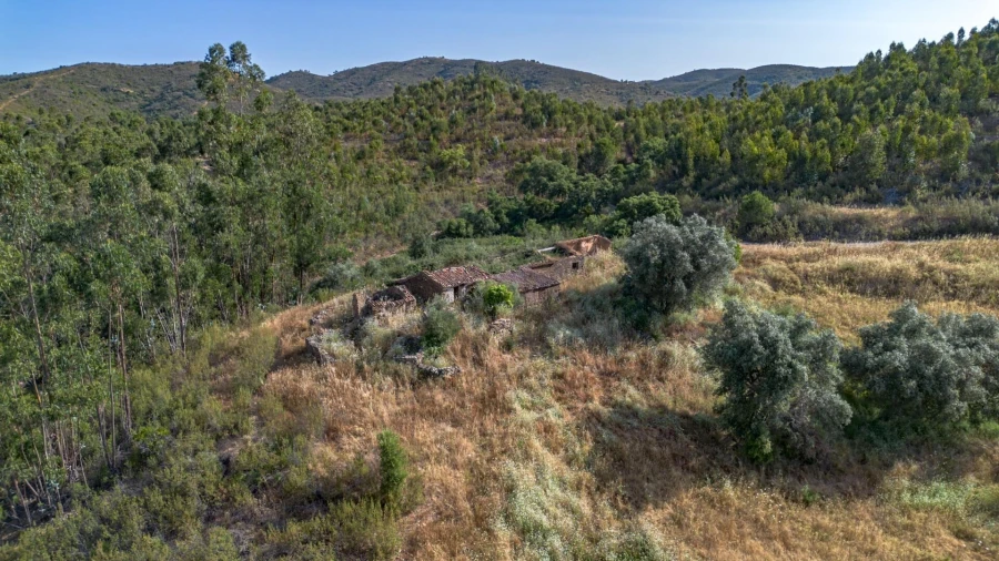 Terreno para Venda em Santana da Serra Foto 14