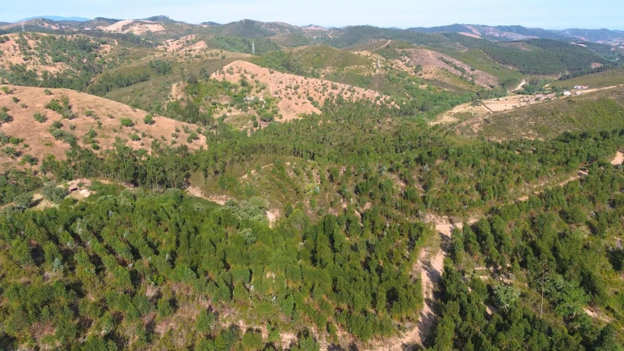 Terreno para Venda em Santana da Serra Foto 16