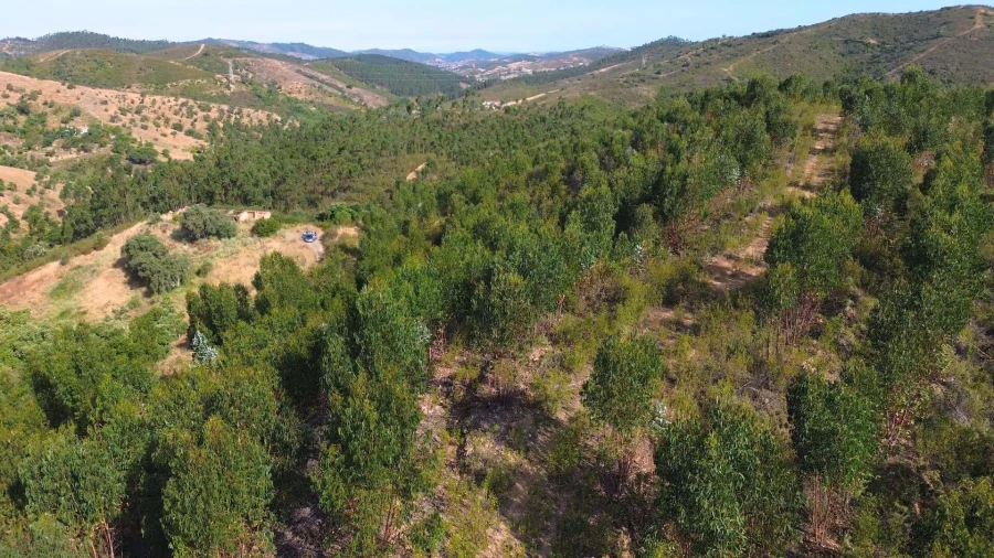 Terreno para Venda em Santana da Serra Foto 13