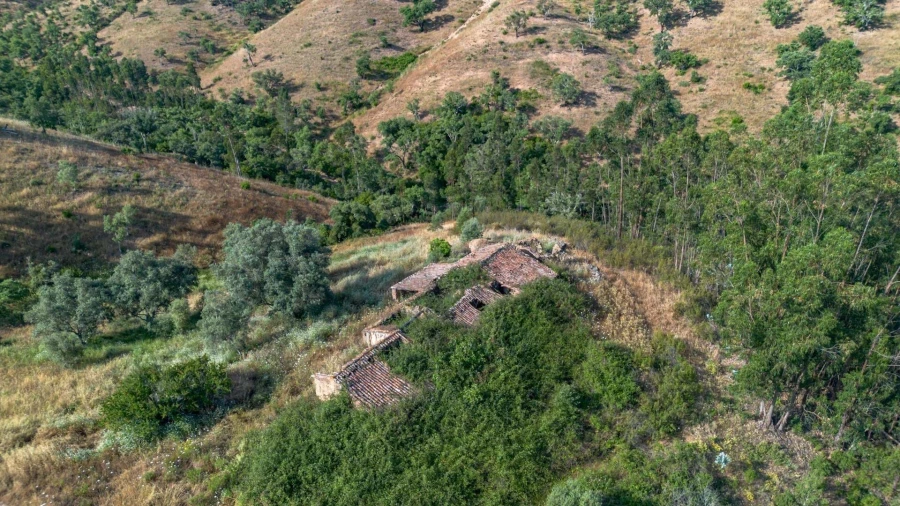 Terreno para Venda em Santana da Serra Foto 9