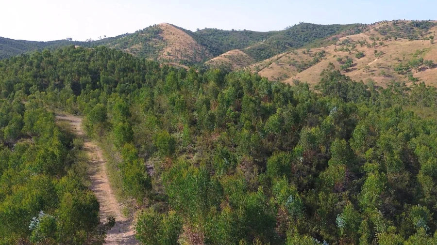 Terreno para Venda em Santana da Serra Foto 17