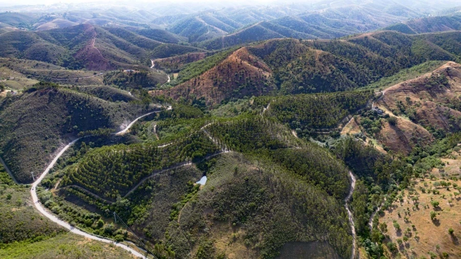 Terreno para Venda em Santana da Serra Foto 3