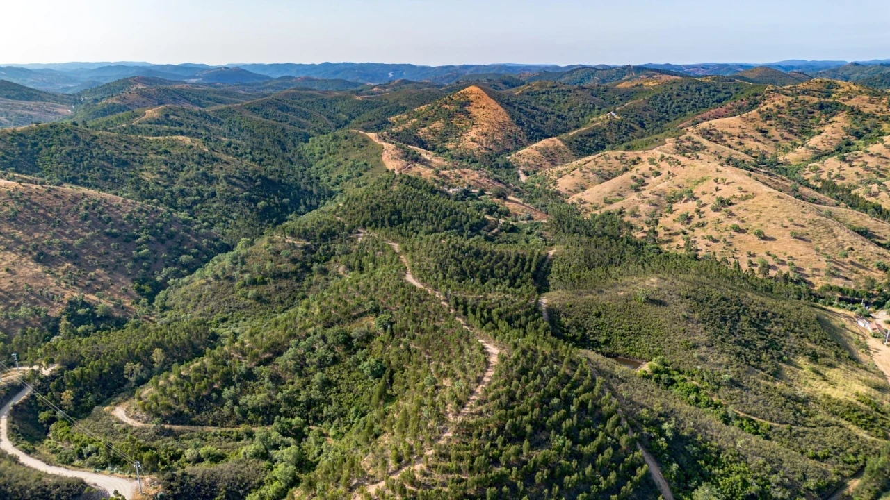 Terreno para Venda em Santana da Serra Foto 4