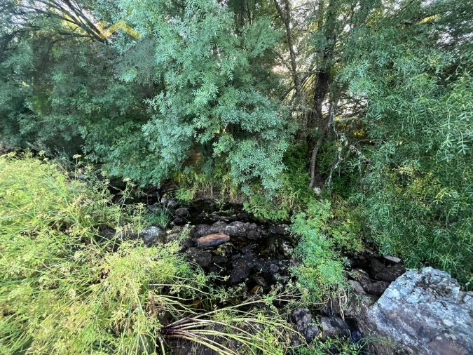 Terreno Agricola ou Rústico para Venda em Freixial e Juncal do Campo Foto 7