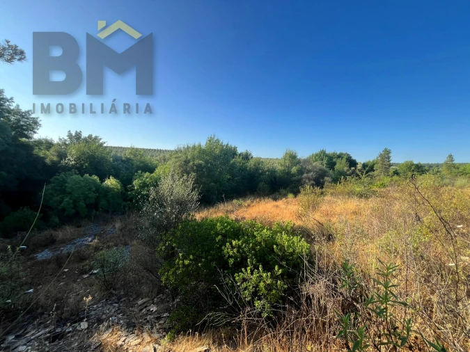Terreno Agricola ou Rústico para Venda em Freixial e Juncal do Campo Foto 15