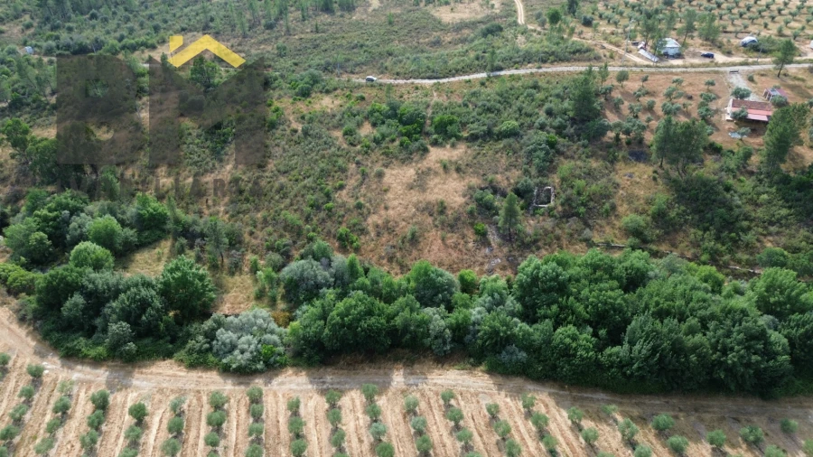 Terreno Agricola ou Rústico para Venda em Freixial e Juncal do Campo Foto 10