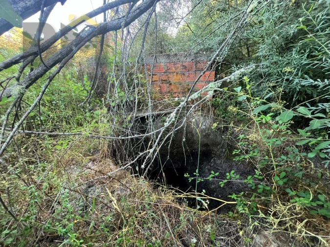 Terreno Agricola ou Rústico para Venda em Freixial e Juncal do Campo Foto 6