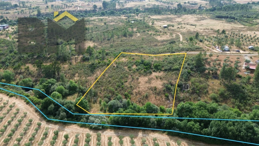 Terreno Agricola ou Rústico para Venda em Freixial e Juncal do Campo
