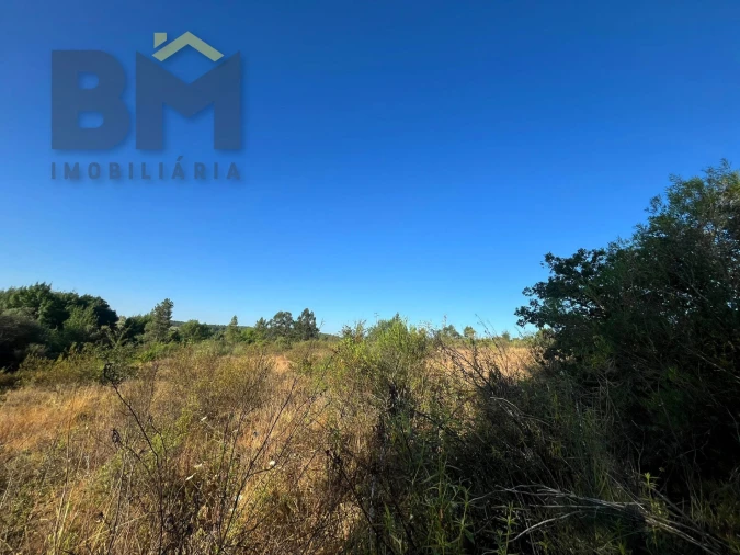 Terreno Agricola ou Rústico para Venda em Freixial e Juncal do Campo Foto 14