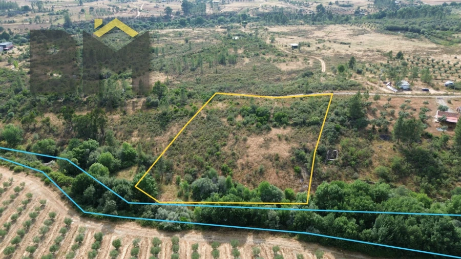 Terreno Agricola ou Rústico para Venda em Freixial e Juncal do Campo