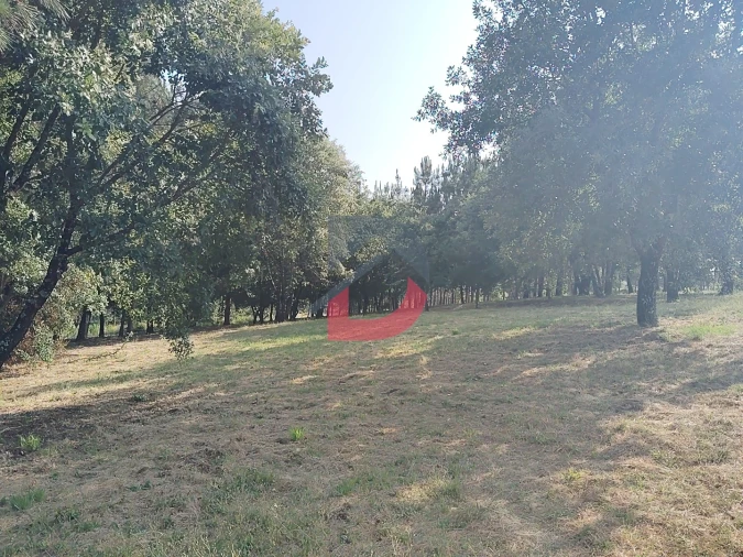Terreno para Venda em Pombal