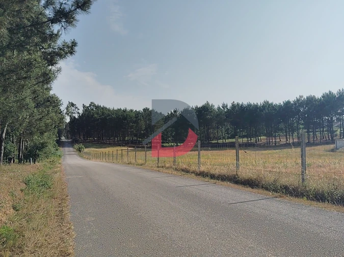 Terreno para Venda em Pombal Foto 3