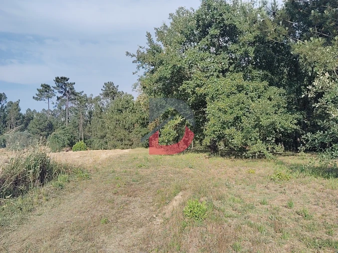 Terreno para Venda em Pombal Foto 10