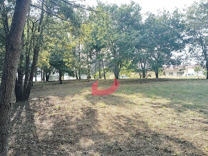 Terreno para Venda em Pombal Foto 7