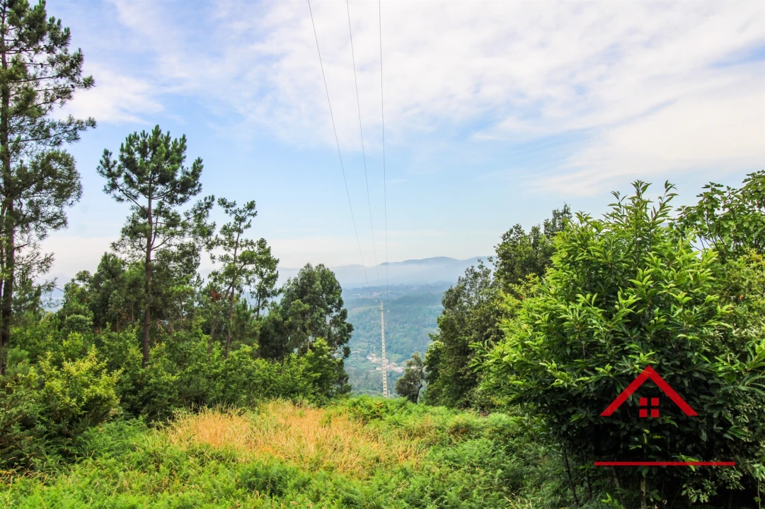 Terreno Agricola ou Rústico para Venda em São Felix Foto 4
