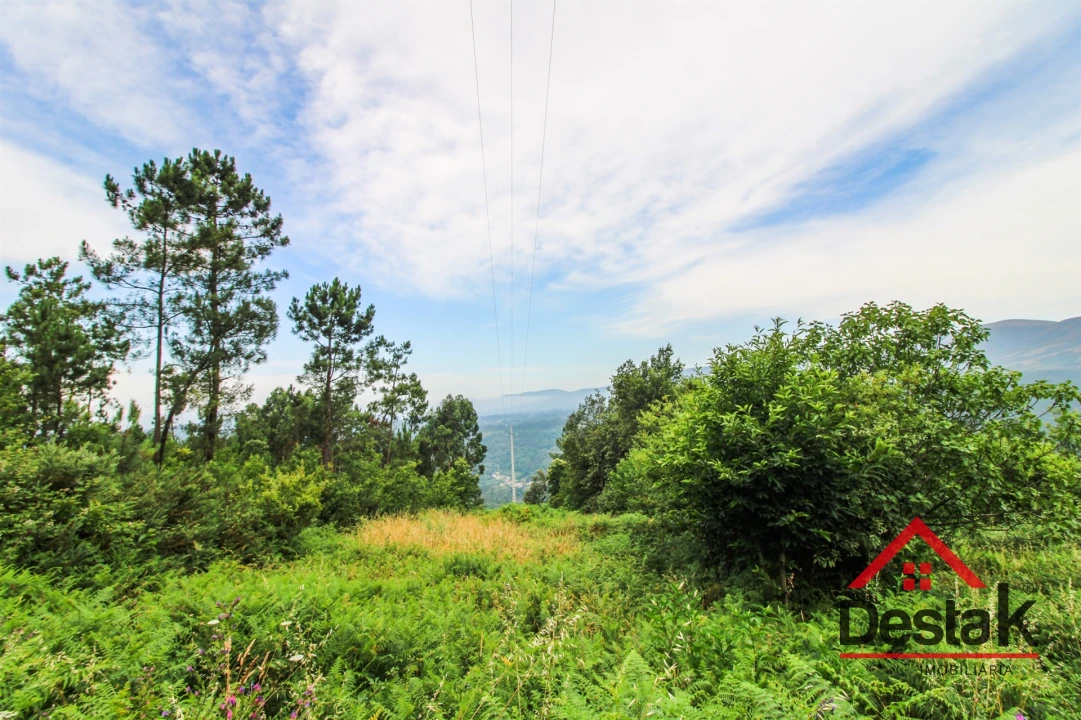 Terreno Agricola ou Rústico para Venda em São Felix Foto 1