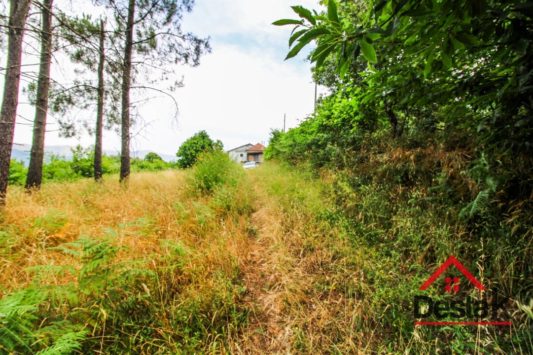 Terreno Agricola ou Rústico para Venda em São Felix Foto 2