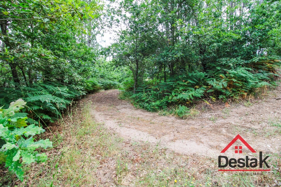 Terreno Agricola ou Rústico para Venda em São Felix Foto 1