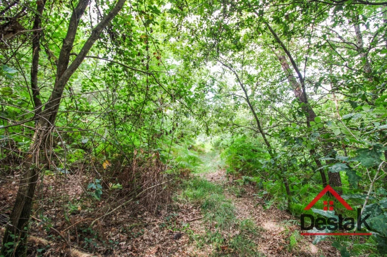 Terreno Agricola ou Rústico para Venda em São Felix Foto 10