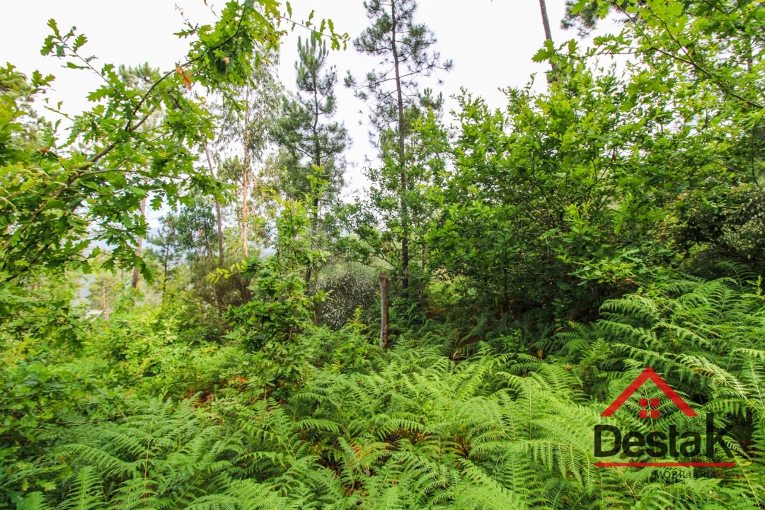 Terreno Agricola ou Rústico para Venda em São Felix Foto 4