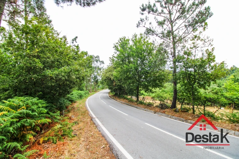 Terreno Agricola ou Rústico para Venda em São Felix