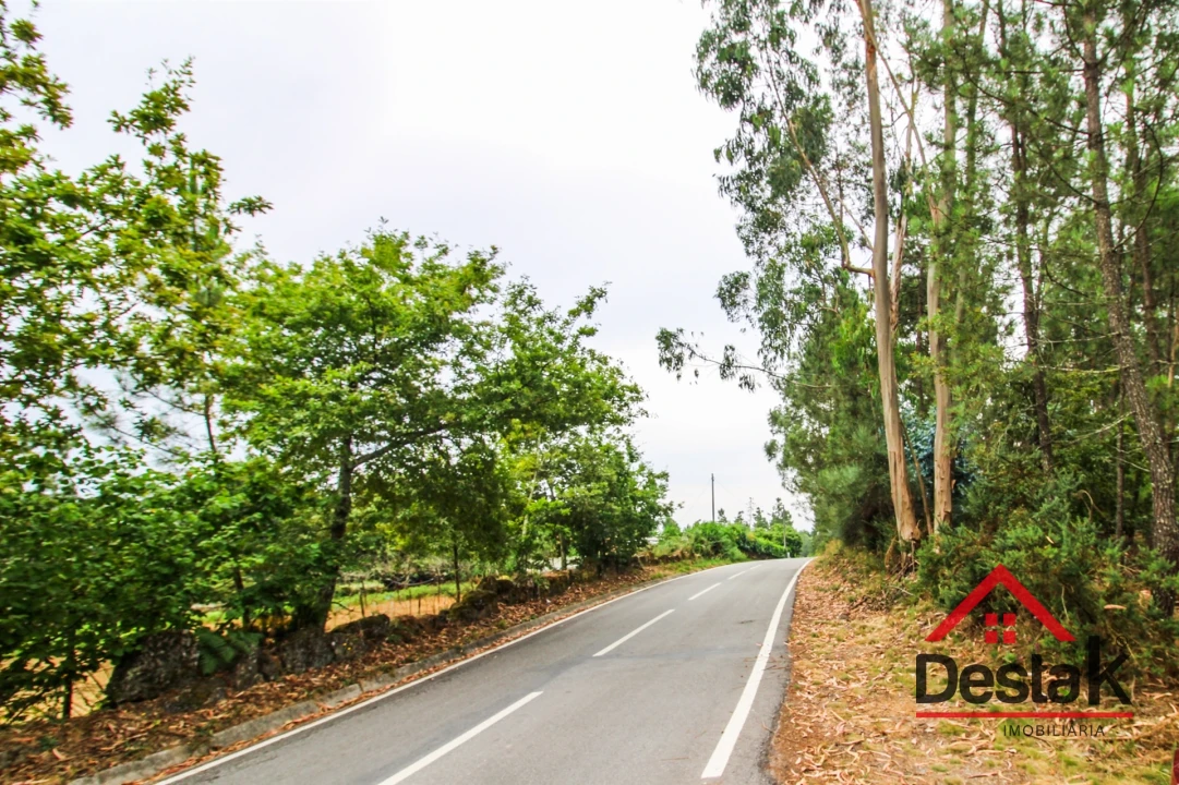 Terreno Agricola ou Rústico para Venda em São Felix Foto 2