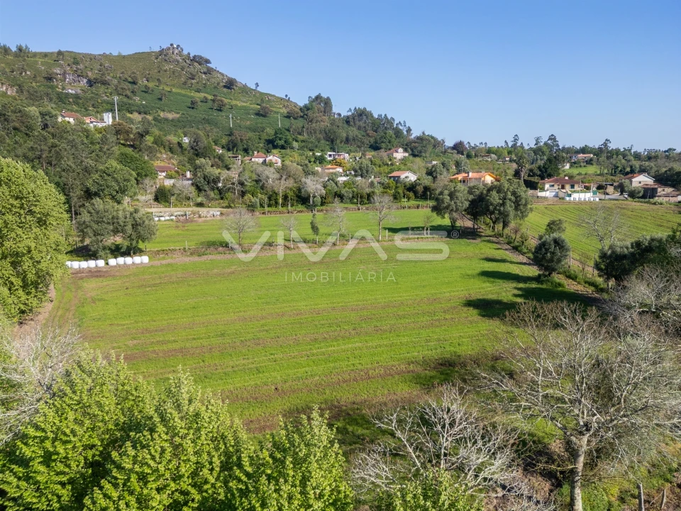 Terreno para Venda em Coucieiro Foto 6