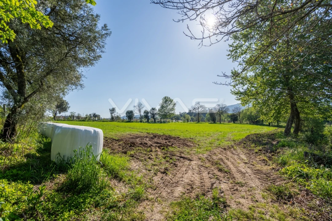 Terreno para Venda em Coucieiro Foto 18