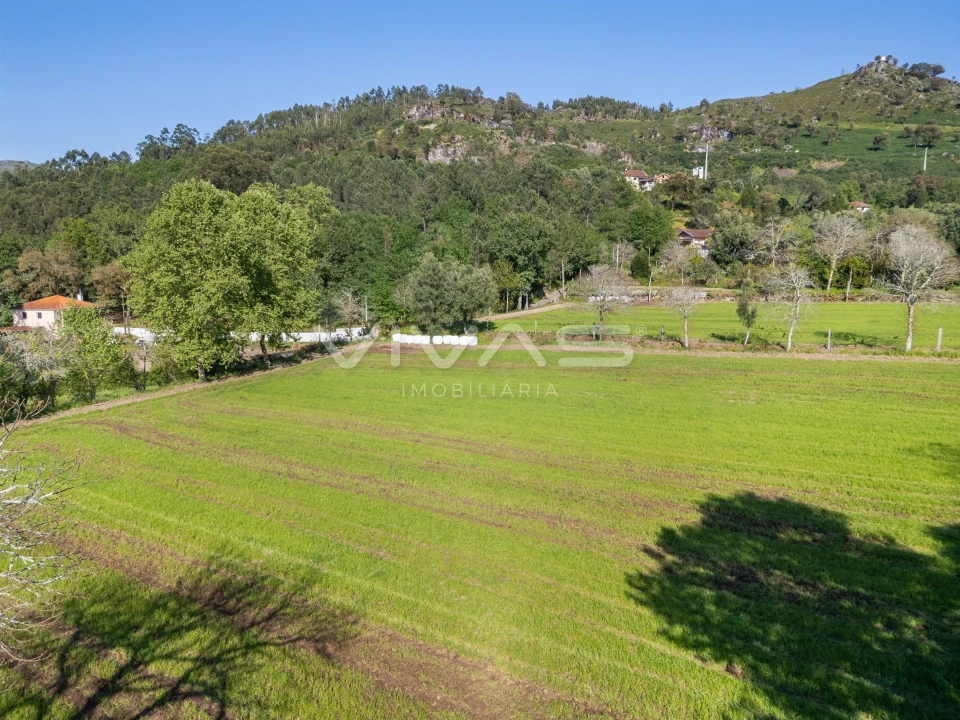 Terreno para Venda em Coucieiro Foto 14
